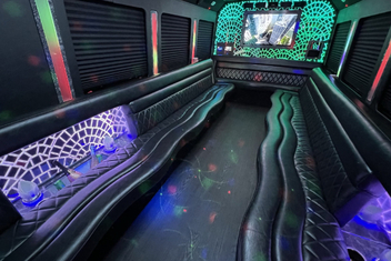 Temecula Limo Bus Interior
